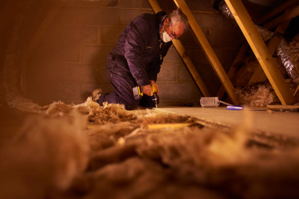 Best Insulation Maintenance and Repair in Norton, OH